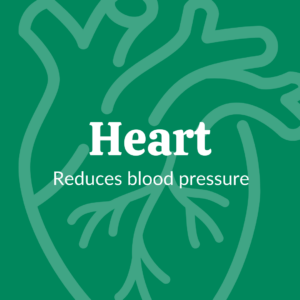 Heart - Reduces blood pressure