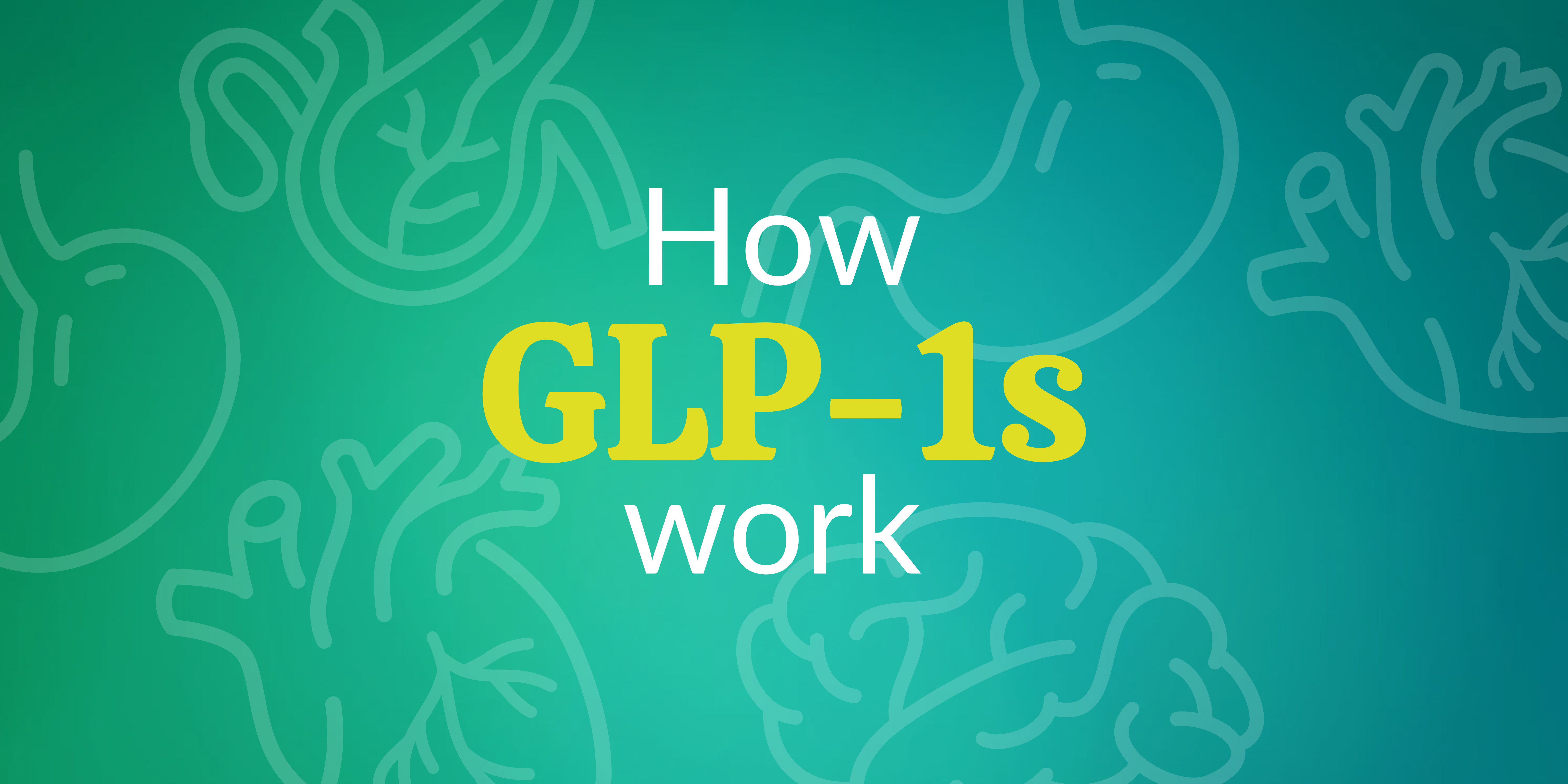 How GLP-1s work